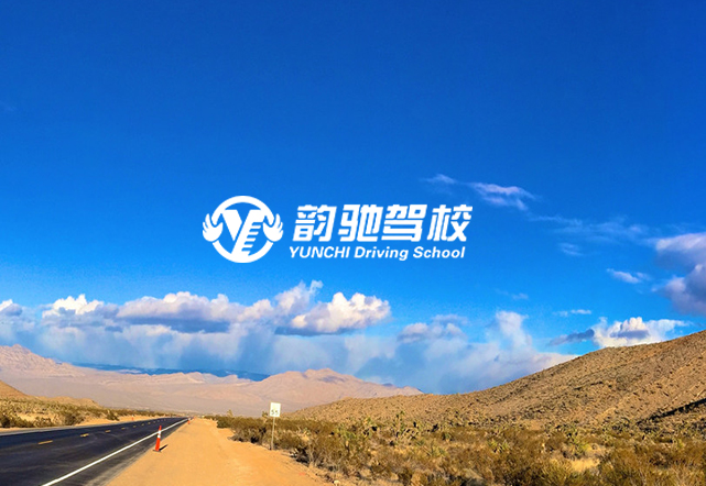 張秀英——財務總監